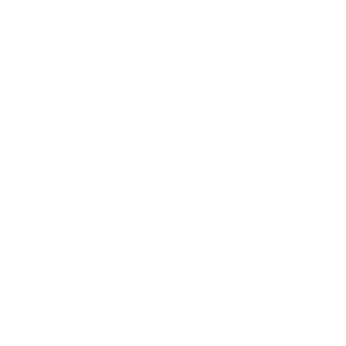 perspectiveispower.com